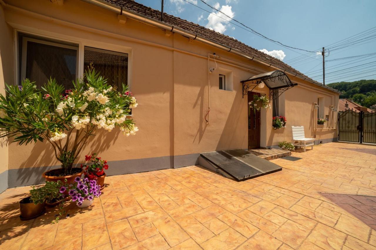 Nice&Cozy Apartament Sighişoara Exterior foto